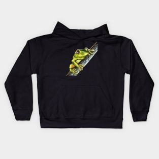 Green tree frog on a branch with big eyes Kids Hoodie